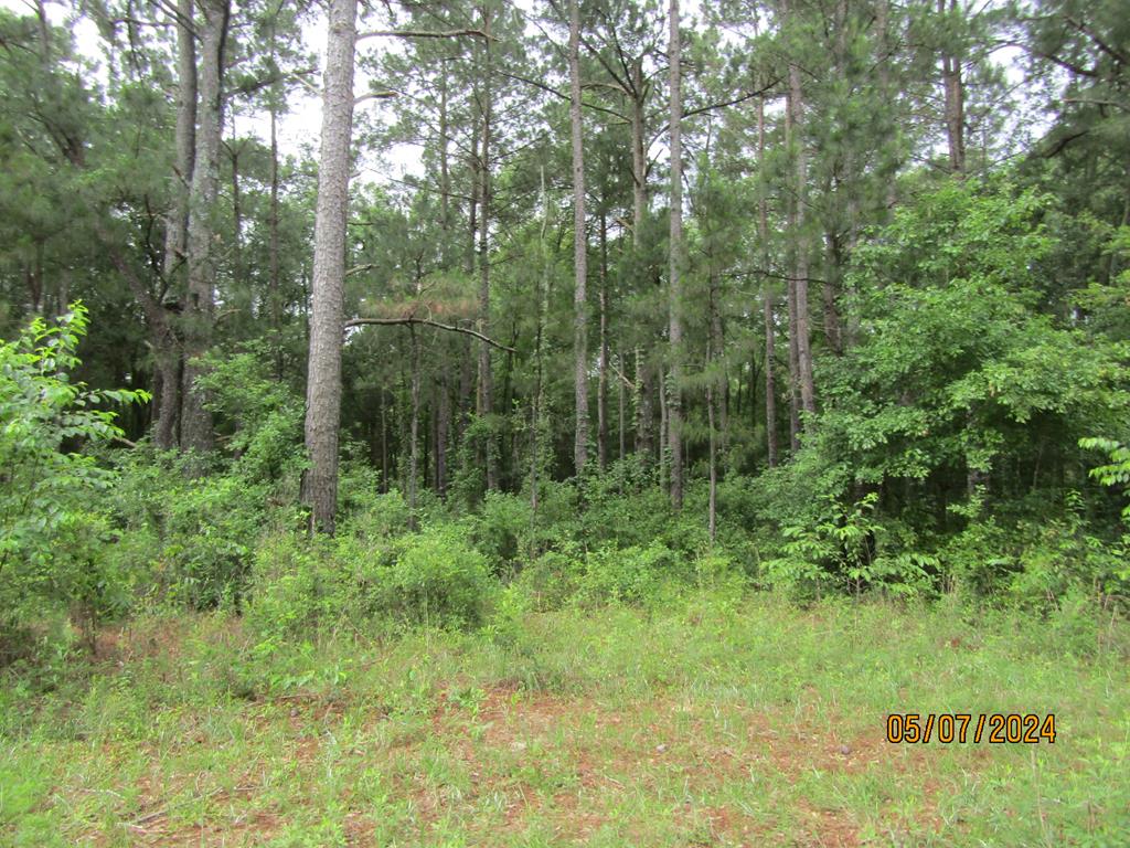 Listing Photo 925482