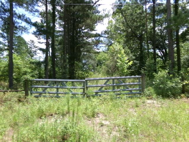 Listing Photo 925651