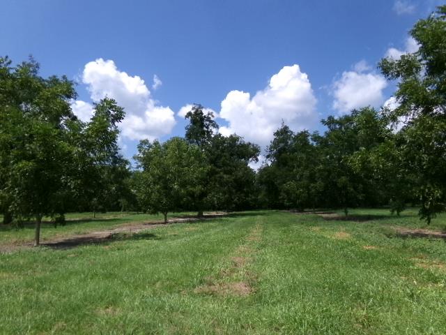 Listing Photo 925937